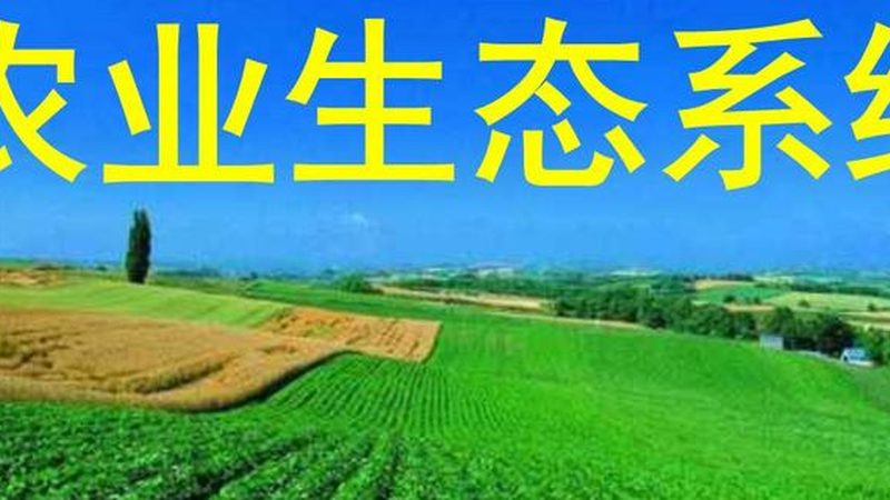 生态农业加盟，如何慧眼识珠？**