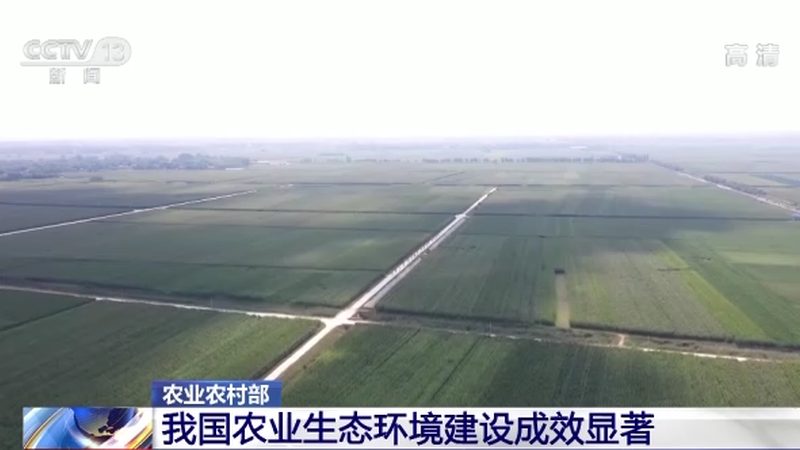 盆栽柠檬种植，从入门到精通**
