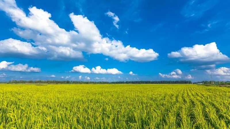 成都家庭农场种植技术设备升级之路