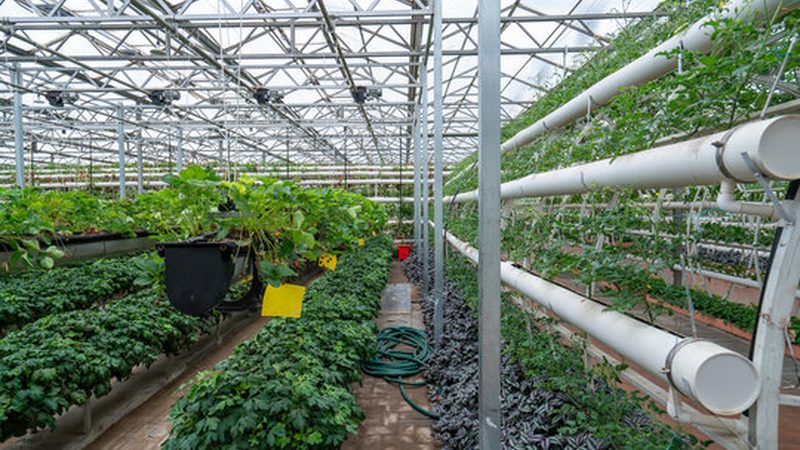 果蔬配送合同有效期：关键因素与合理期限