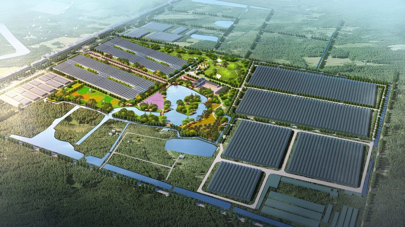 林下经济投资回报率的四个关键变量