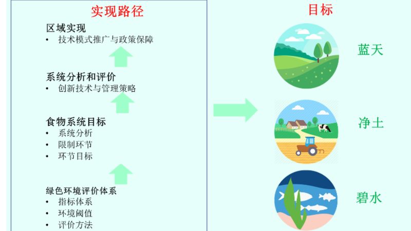 小标题：关注配送速度与新鲜度