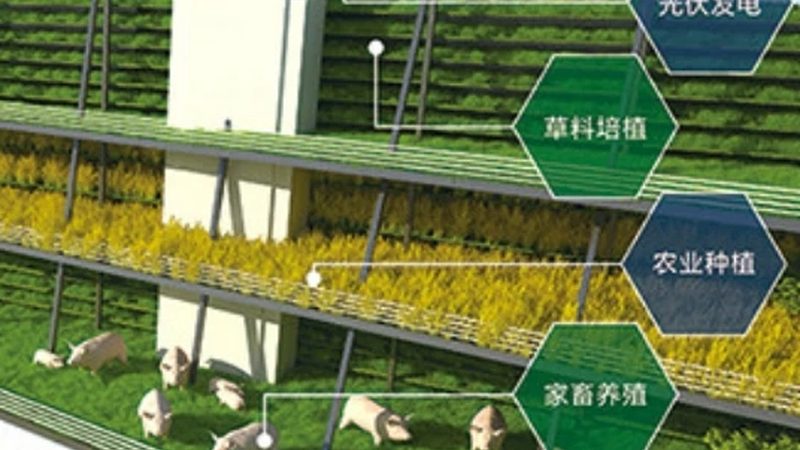 合作社代办服务费用：了解背后的真实成本