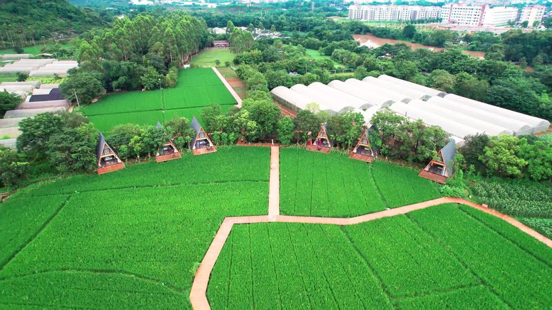 水果种植专用土：价格背后的生态价值