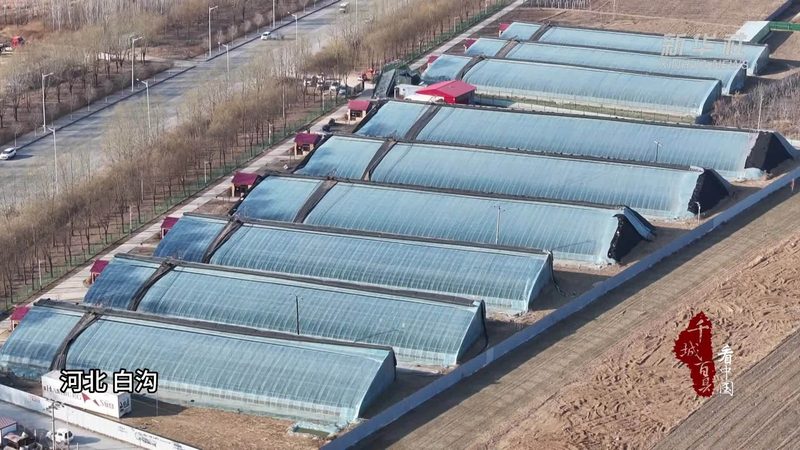 在进行绿色食品认证之前，首先需要满足一些基本条件。这些条件包括但不限于：