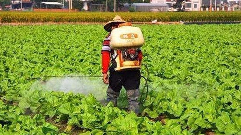 果蔬配送团体采购，如何选择更高效的合作模式？**