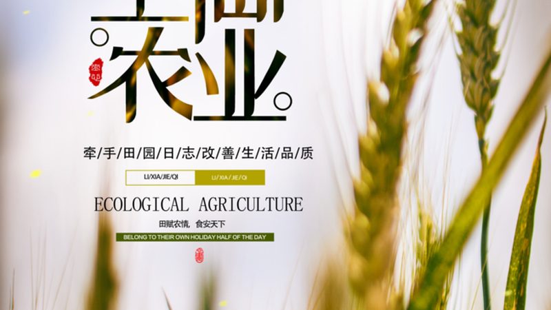 农业物联网解决方案：助力现代农业的多领域应用